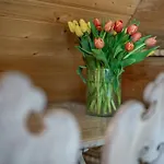 Nad Jeziorem Czorsztynskim 15 Osob 7 Sypialni Balia Zewnetrzna